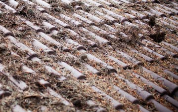 Stonestreet Green roof cleaning companies