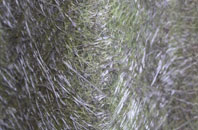 Stonestreet Green fibreglass roof work